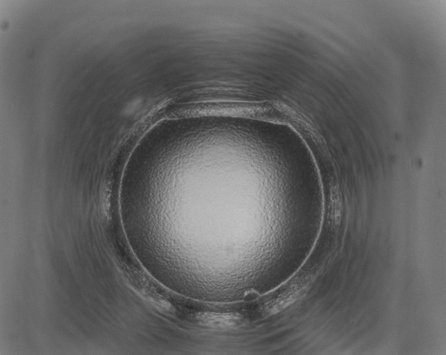 X0000085050255200703121506