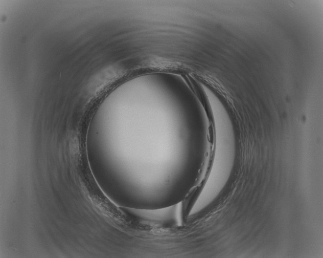 X0000085050256200703121506