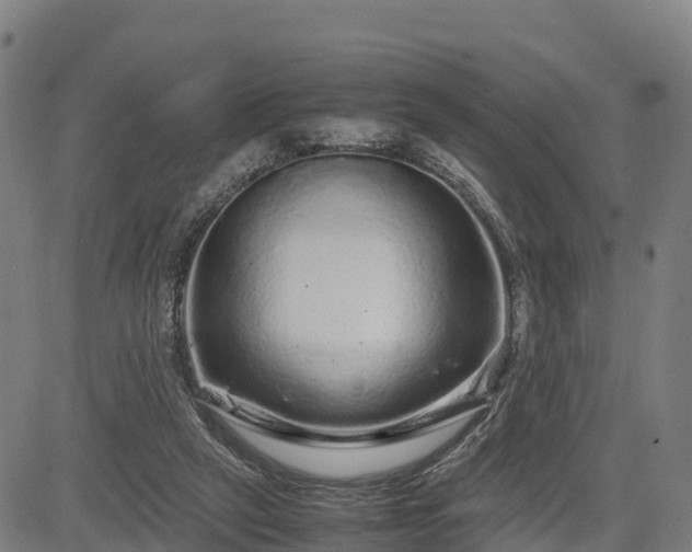 X0000085050257200703121507