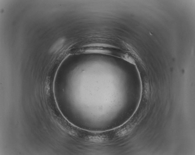X0000085050259200703121507