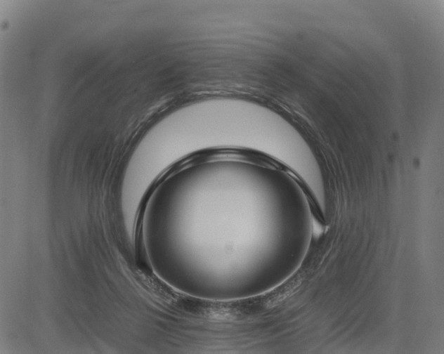 X0000085050264200703121507