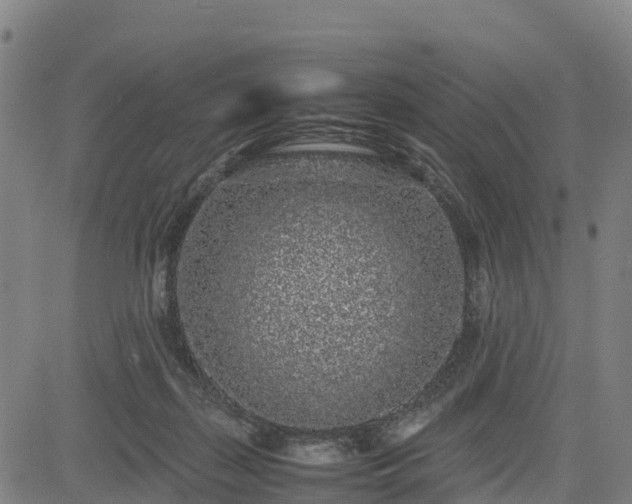 X0000085050267200703121507