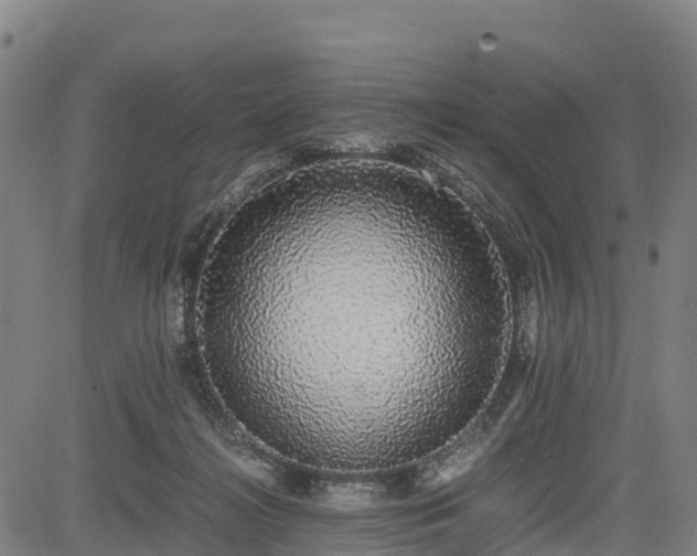X0000085050268200703121507