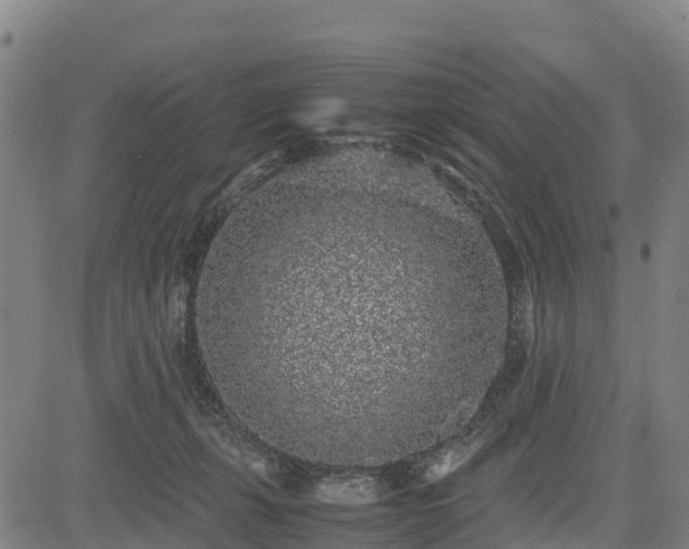 X0000085050271200703121507