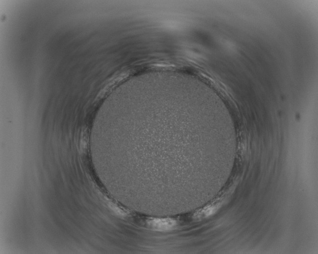 X0000085050277200703121507