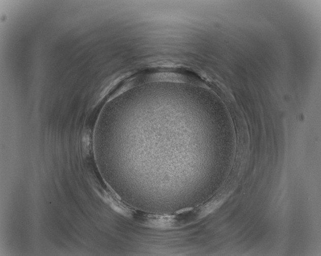 X0000085050288200703121507