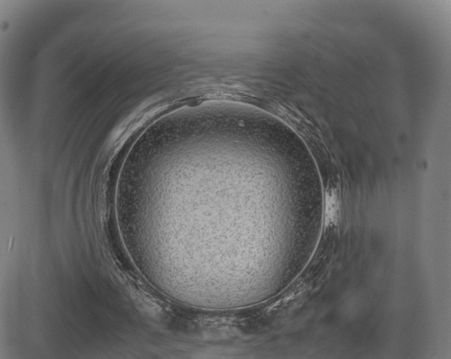 X0000085050291200703121506