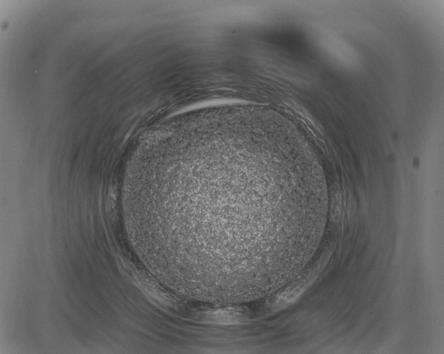 X0000085050365200703121505