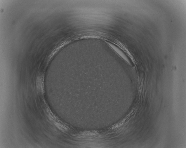 X0000085050386200703121505