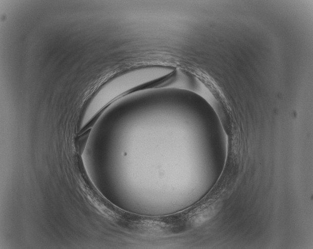 X0000085050393200703121504