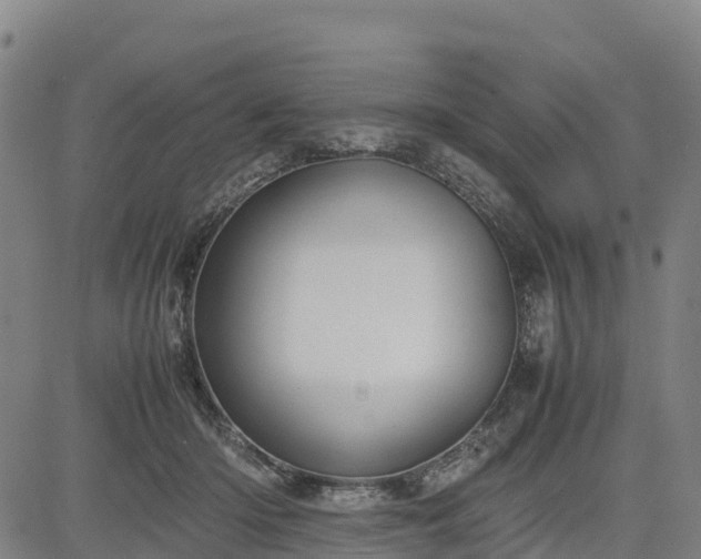 X0000085050414200703121504