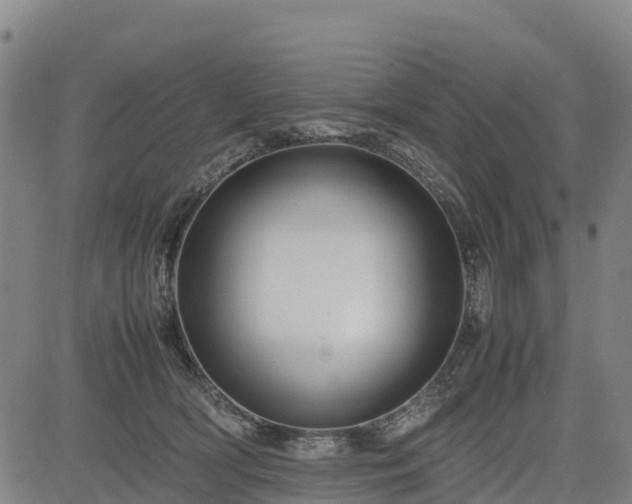 X0000085050418200703121504