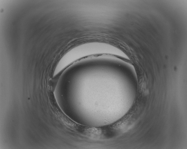 X0000085050421200703121504