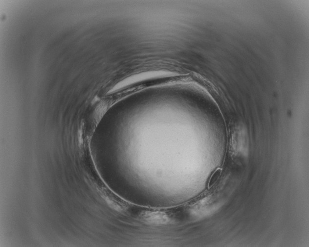 X0000085050424200703121504