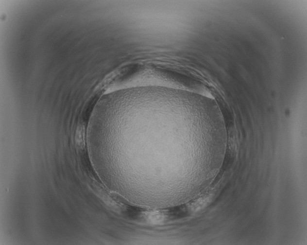 X0000085050425200703121504