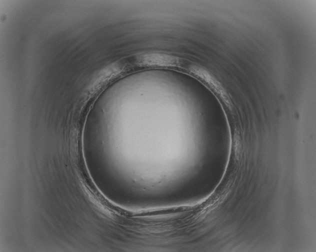 X0000085050445200703121503