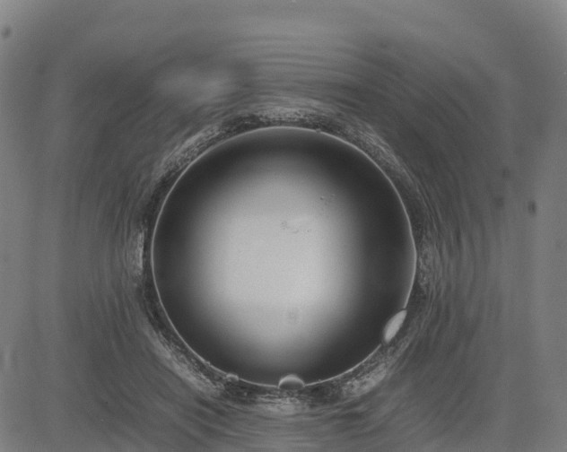 X0000085050454200703121503