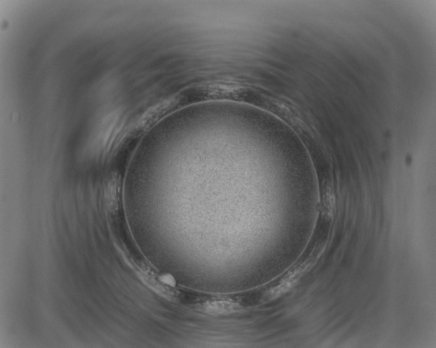 X0000085050468200703121504