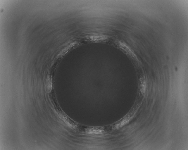 X0000085050471200703121504
