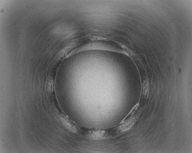 X0000085050474200703121504