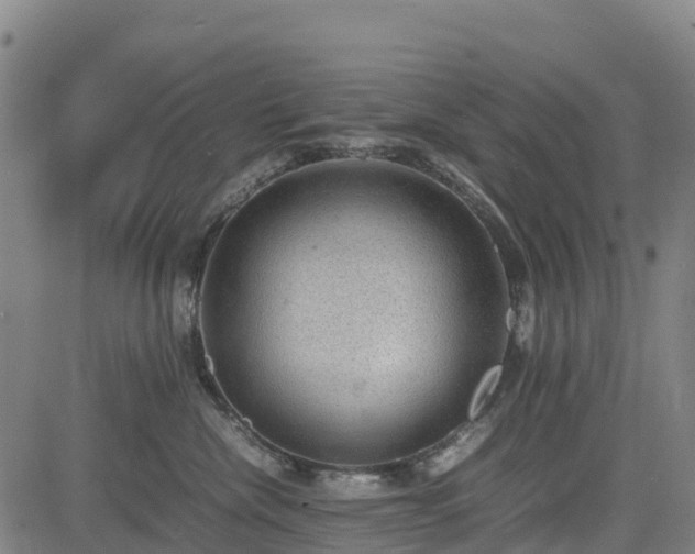 X0000085050476200703121504