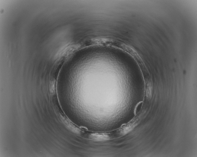 X0000085050477200703121504