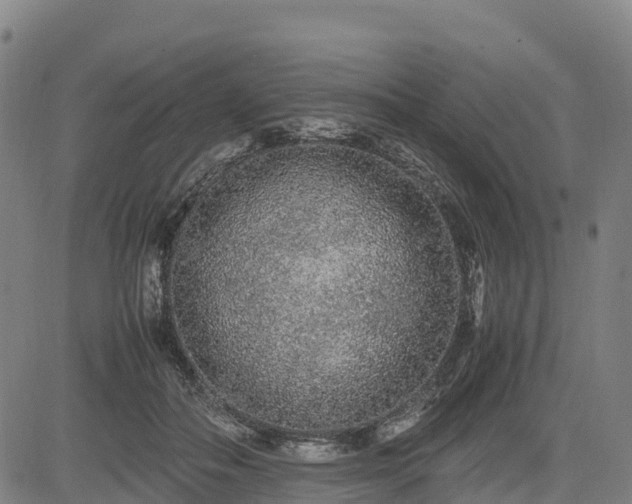 X0000085050506200703121503