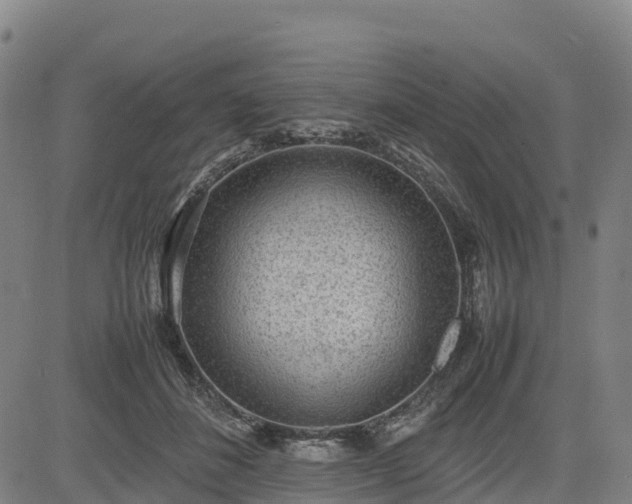 X0000085050508200703121503