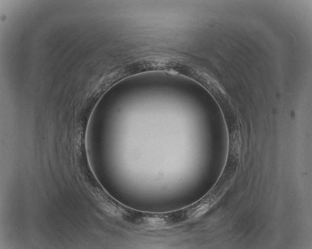 X0000085050509200703121503
