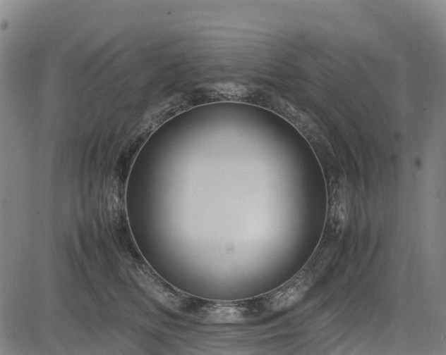 X0000085050518200703121502