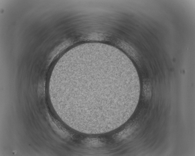 X0000085050534200703121501