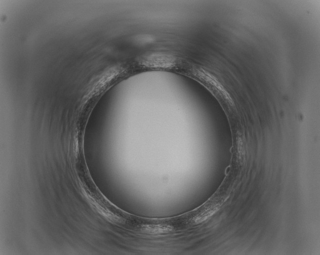 X0000085050541200703121502