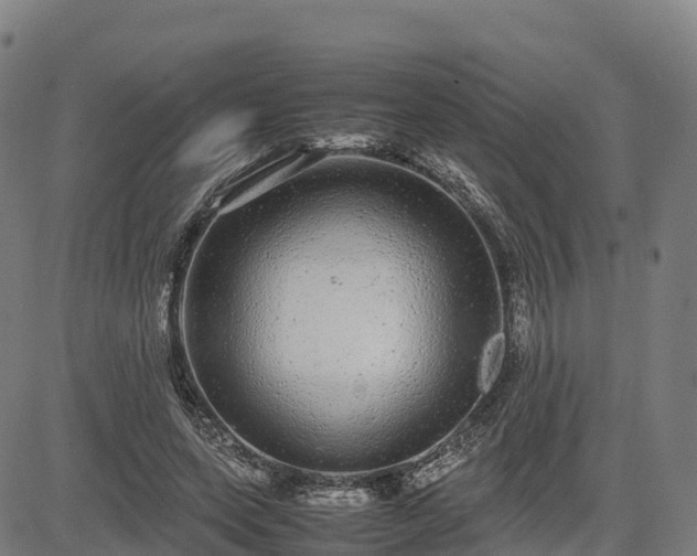 X0000085050543200703121502