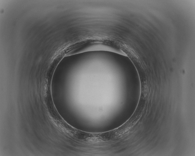 X0000085050544200703121502