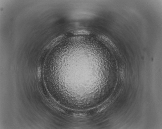 X0000085050549200703121502