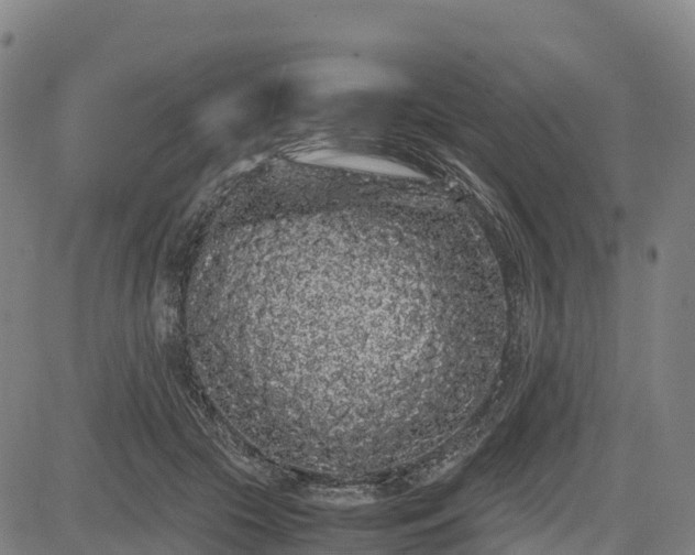 X0000085050553200703121502