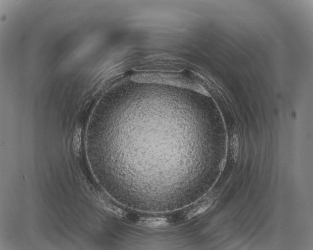 X0000085050554200703121502