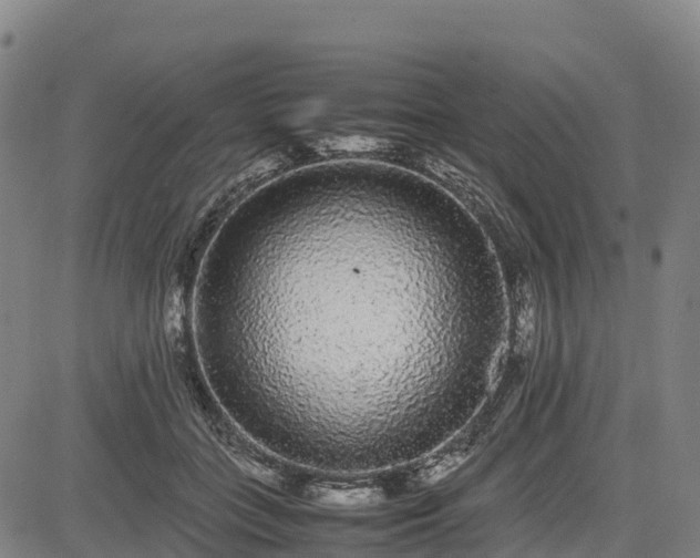 X0000085050555200703121502