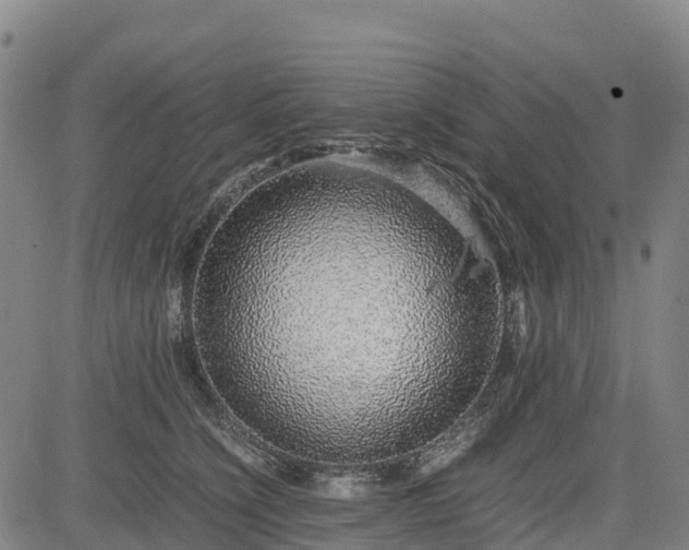 X0000085050564200703121502