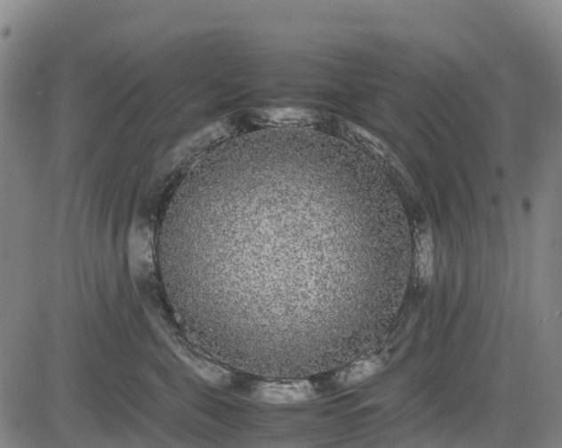 X0000085050571200703121502
