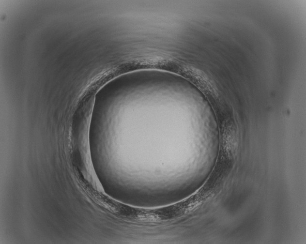 X0000085050591200703121501