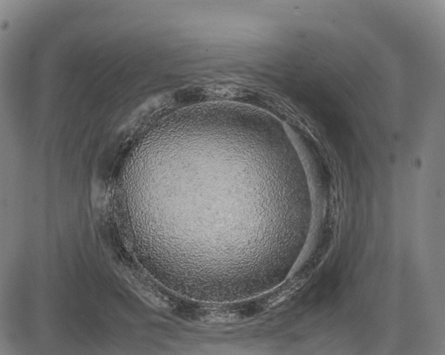 X0000085050601200703121501