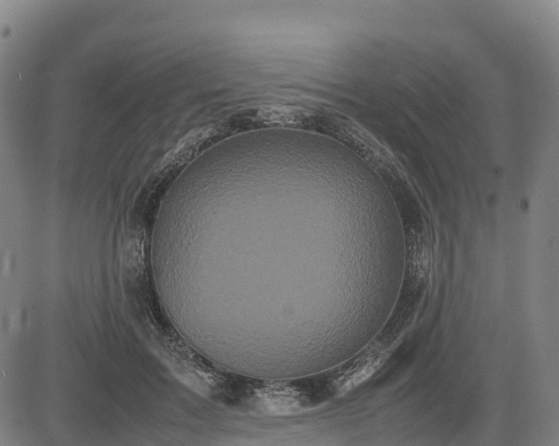 X0000085050603200703121501