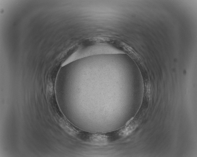 X0000085050617200703121501