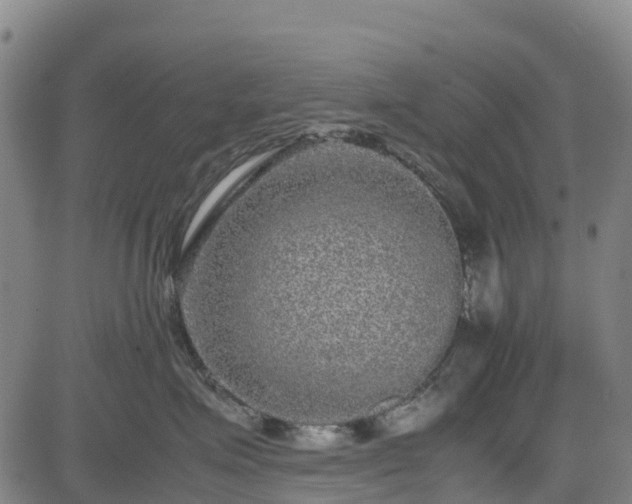 X0000085050623200703121501