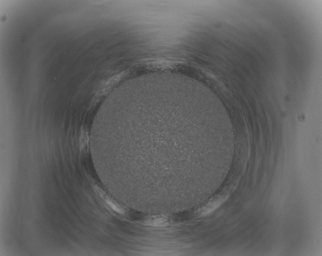 X0000085050624200703121501
