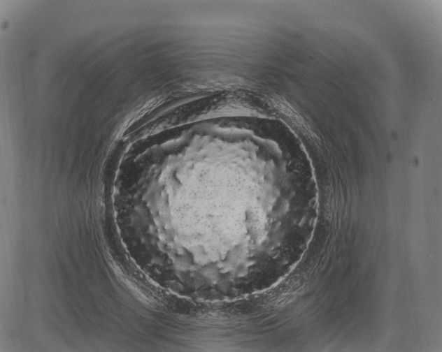 X0000085050634200703121500