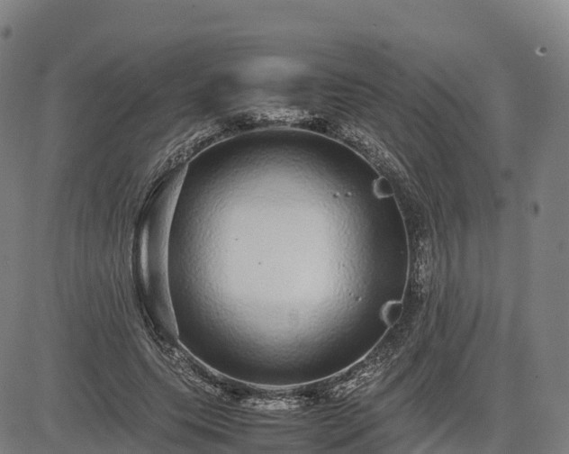 X0000085050639200703121500