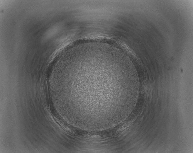 X0000085050640200703121500