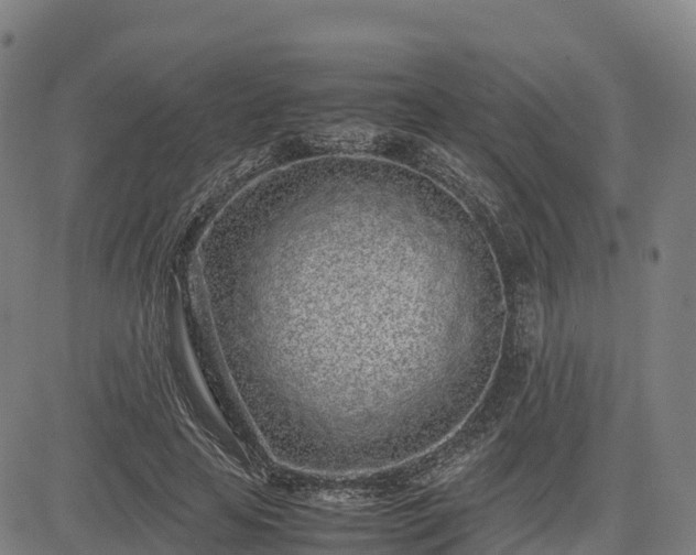 X0000085050641200703121500